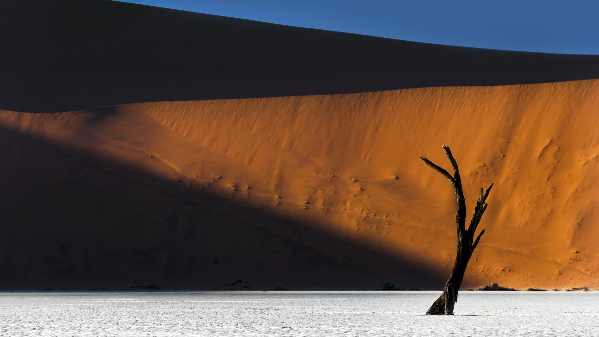 CEFM framework architecture